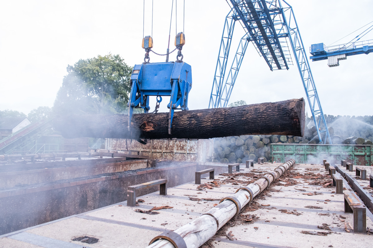 Das ist der alternative Text